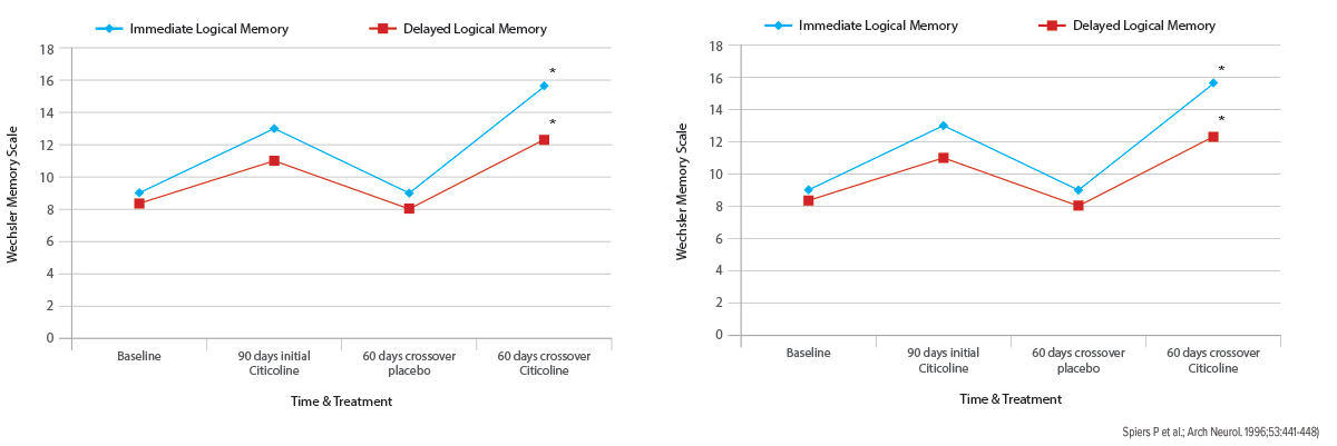 Brain Support Memory