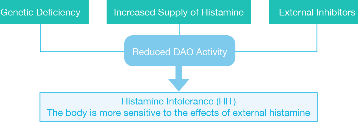Cause of histamine intolerance